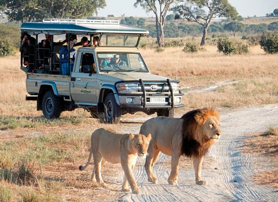 Drifters - Southern Africa Explorer