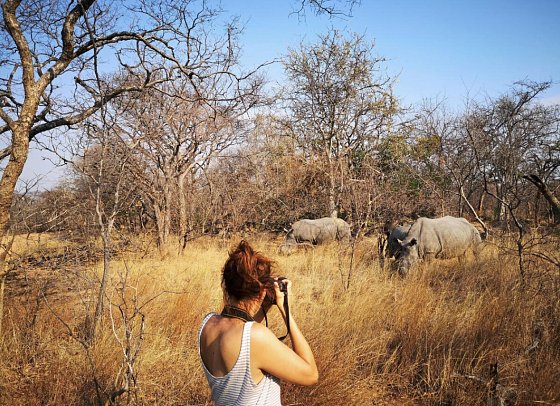 Drifters - Southern Africa Explorer - Rhino Walk