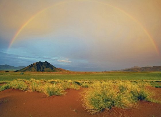Drifters - Southern Africa Explorer - Namib Wüste
