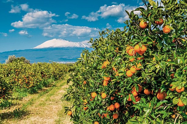 Das malerische Sizilien bewusst entdecken - Mediterranes Flair am Ätna