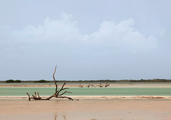 Cenoten, Meereswunder und Mayawelten