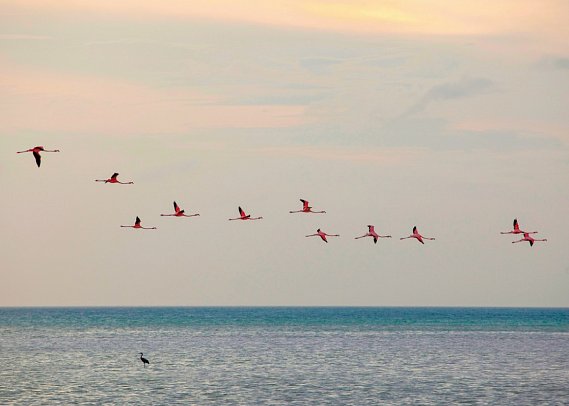 Cenoten, Meereswunder und Mayawelten