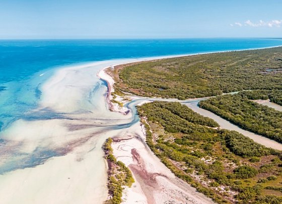 Cenoten, Meereswunder und Mayawelten - Holbox