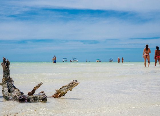 Cenoten, Meereswunder und Mayawelten - Holbox