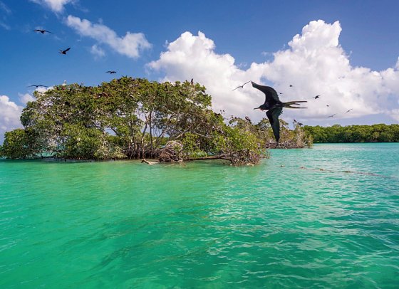 Cenoten, Meereswunder und Mayawelten - Holbox