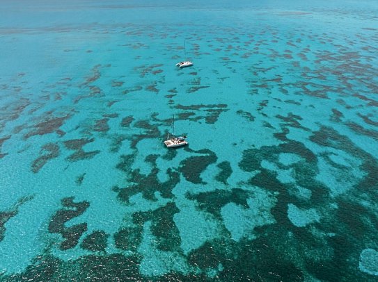 Almare, a Luxury Collection Resort, Isla Mujeres, Adult All-Inclusive