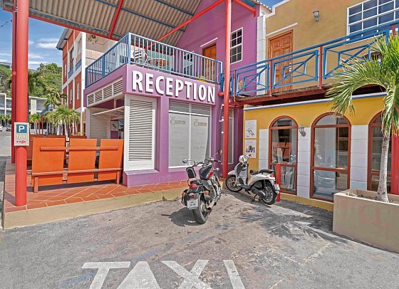 The Ritz Village