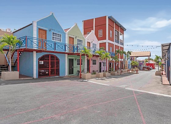 The Ritz Village