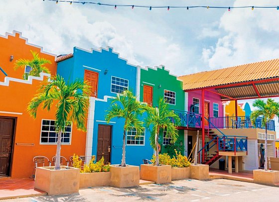 The Ritz Village