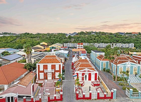 The Ritz Village
