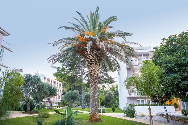 Aminess Vival Port9 Residence