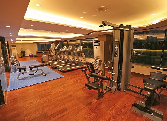 Pride Plaza Hotel Aerocity