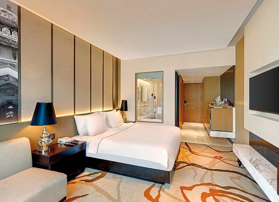 Pride Plaza Hotel Aerocity - Wohnbeispiel Deluxe (Zimmercodierung UD1)