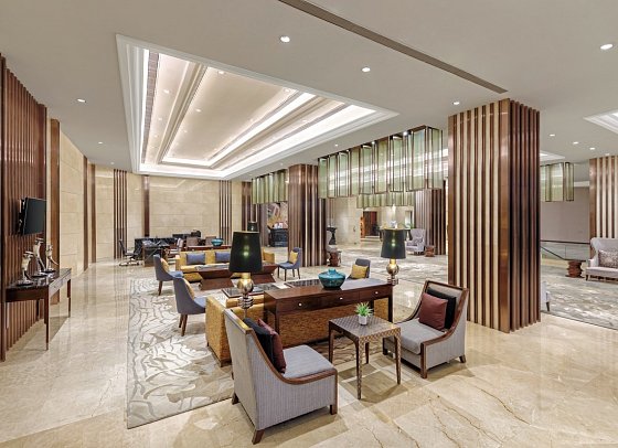Pride Plaza Hotel Aerocity