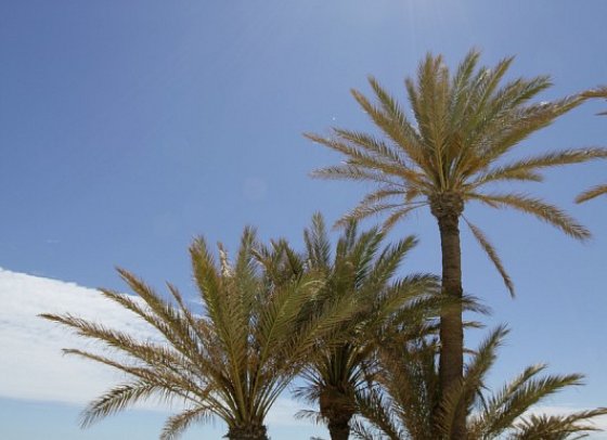 Zita Beach Resort