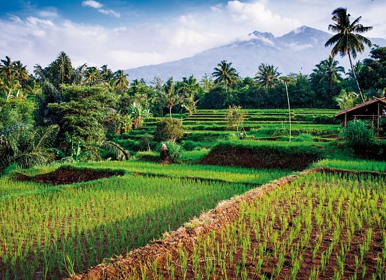 Bali intensiv (Gruppenreise) - Mount Rinjani, Senaru