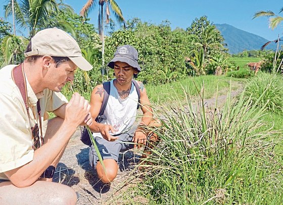 Bali einmal anders (Gruppenreise)