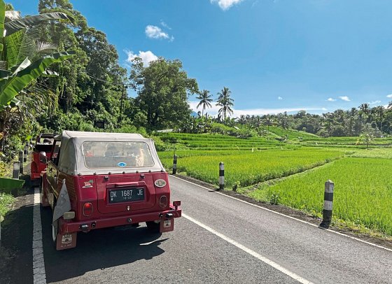 Bali einmal anders (Privatreise)
