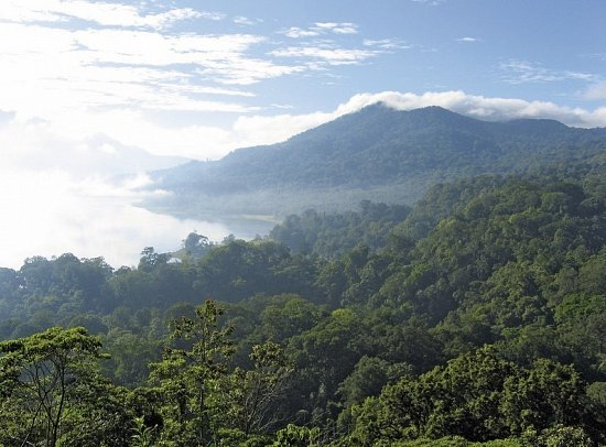 Abenteuer Westbali & Ostjava (Gruppenreise)