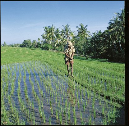 Abenteuer Westbali & Ostjava (Gruppenreise)
