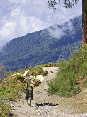 Abenteuer Westbali & Ostjava (Gruppenreise) - Schwefelträger am Mount Ijen