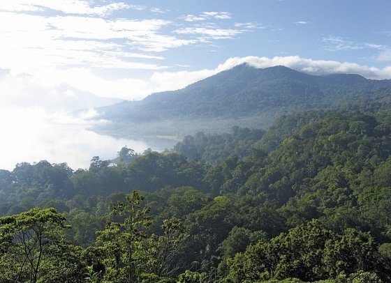 Abenteuer Westbali & Ostjava (Privatreise)