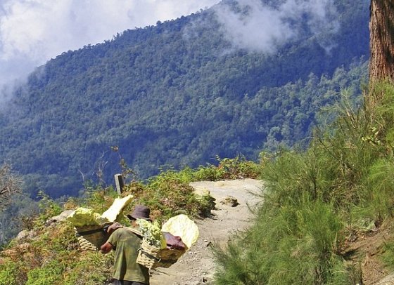 Abenteuer Westbali & Ostjava (Privatreise) - Schwefelträger am Mount Ijen