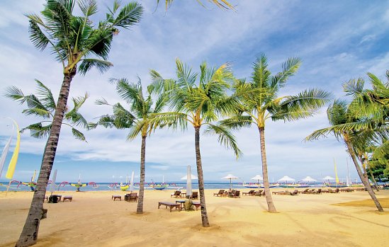 The 101 Bali Oasis Sanur