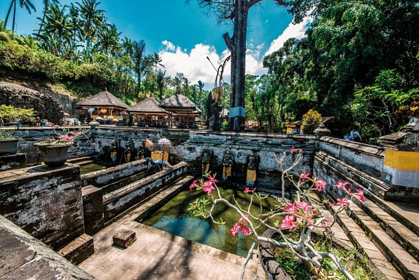 Bali komplett (Gruppenreise) - Goa Gajah Tempel, Ubud