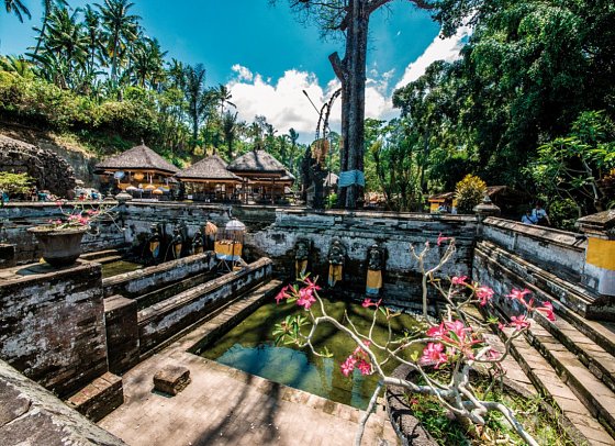 Bali komplett (Privatreise) - Goa Gajah Tempel, Ubud