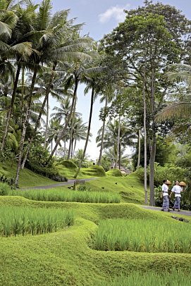 Four Seasons Resort Bali at Sayan