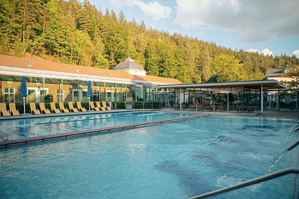 Hotel König Albert - Albert Bad