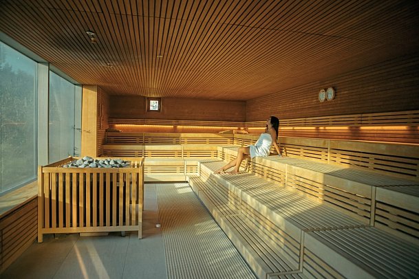 Hotel König Albert - SSB Saunawelt Bad Elster