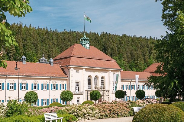 Hotel König Albert - Albert Bad