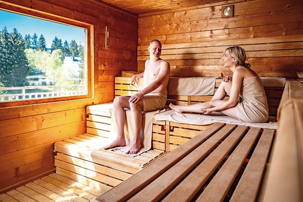 Best Western Ahorn Hotel Oberwiesenthal