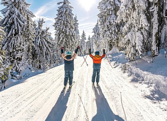Elldus Resort - Familotel Erzgebirge