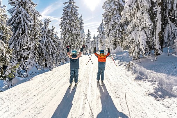 Elldus Resort - Familotel Erzgebirge