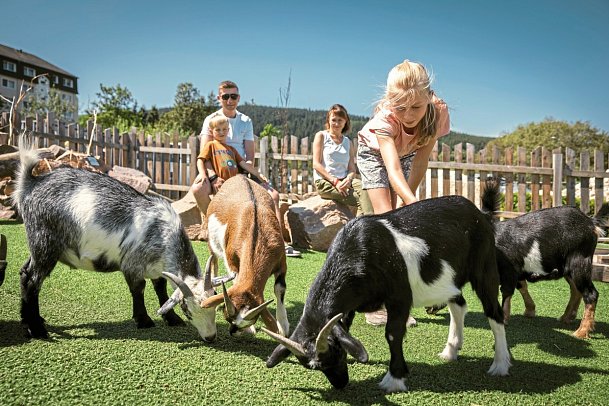 Elldus Resort - Familotel Erzgebirge