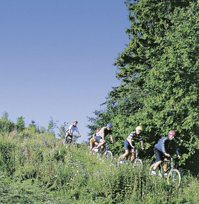 IFA Schöneck Hotel & Ferienpark