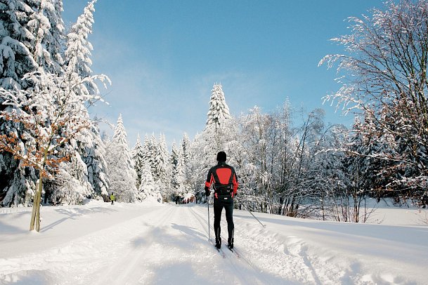 IFA Schöneck Hotel & Ferienpark