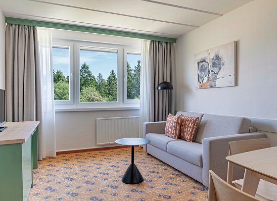 IFA Schöneck Hotel & Ferienpark - Wohnbeispiel 1,5-Raum Appartement (Zimmercodierungen AB2 & OB1)