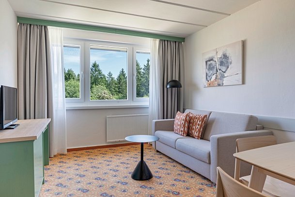 IFA Schöneck Hotel & Ferienpark - Wohnbeispiel 1,5-Raum Appartement (Zimmercodierungen AB2 & OB1)