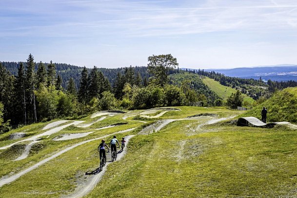 IFA Schöneck Hotel & Ferienpark
