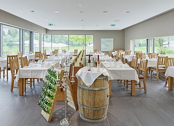 Hotel Elbresidenz an der Therme Bad Schandau