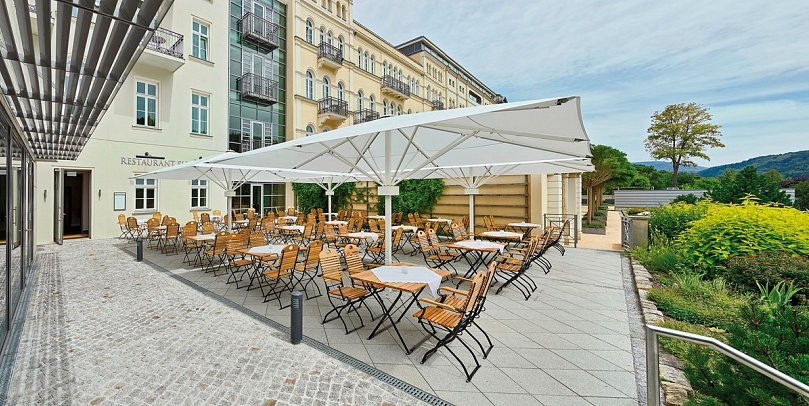 Hotel Elbresidenz an der Therme Bad Schandau