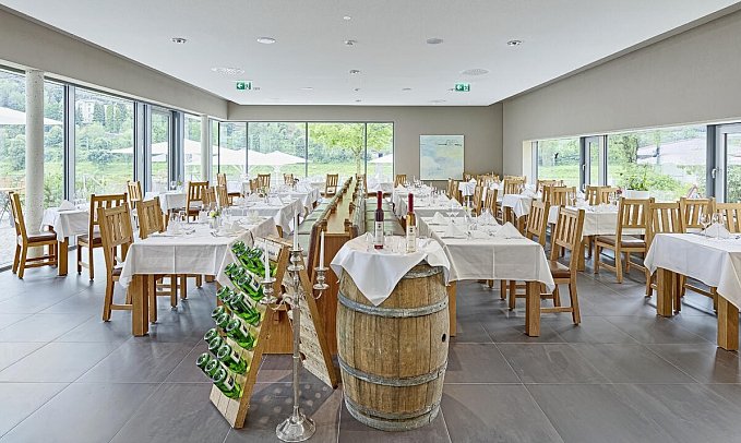 Hotel Elbresidenz an der Therme Bad Schandau