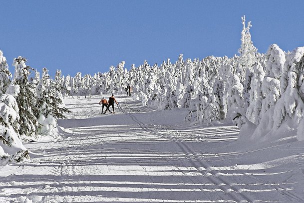 Alpina Lodge Hotel Oberwiesenthal