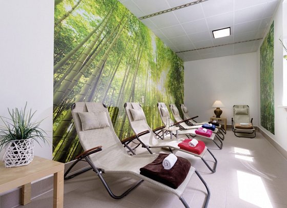AHORN Waldhotel Altenberg - Wellness