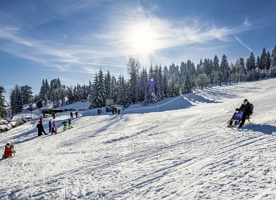 AHORN Waldhotel Altenberg
