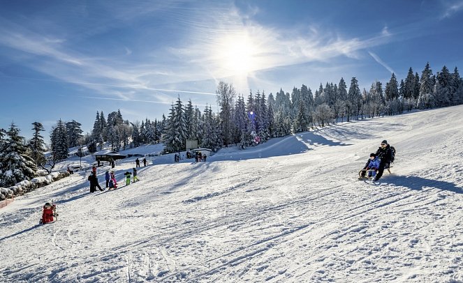 AHORN Waldhotel Altenberg